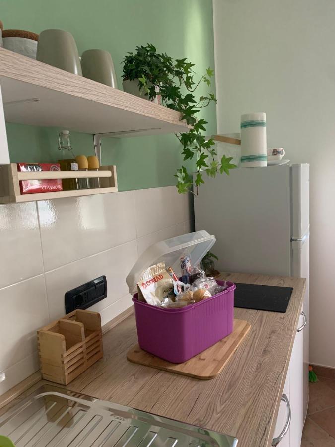 Appartamento Salvia In Centro أسشيا المظهر الخارجي الصورة